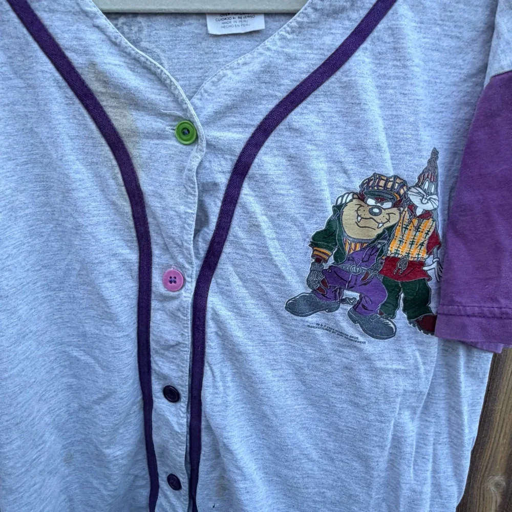 Vintage 1994 Looney Tunes Bugs Taz Sylvester Baseball Shirt Distressed Size L